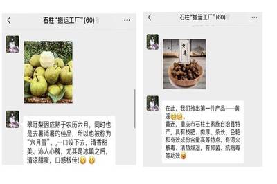 【三下乡】“带货”农产品，教育咨询助力脱贫